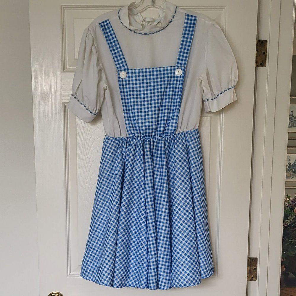 Dorothy Costume & Wig